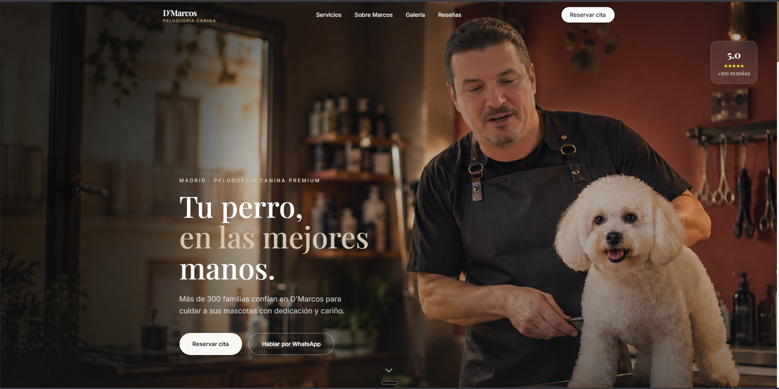 Web de D'Marcos